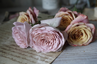 0N5A0715.JPG