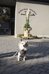 2012enoshima10.jpg
