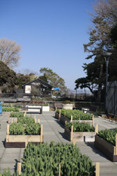 2012enoshima12.jpg