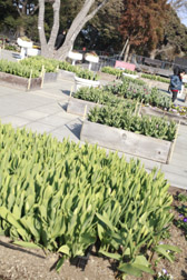 2012enoshima13.jpg