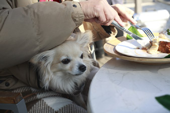 2012enoshima23.jpg