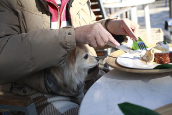 2012enoshima24.jpg