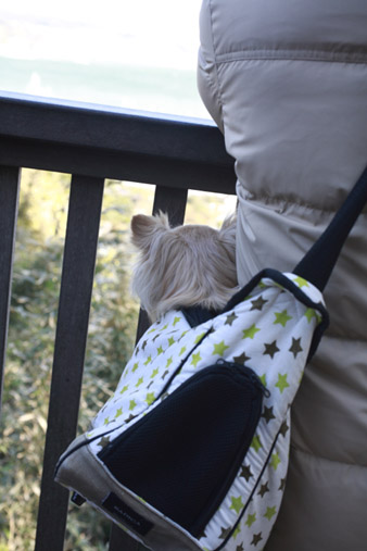 2012enoshima27.jpg