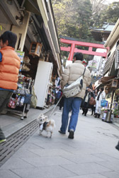 2012enoshima3.jpg