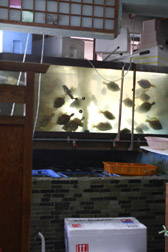 2012enoshima31.jpg