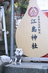 2012enoshima4.jpg