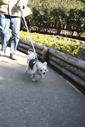 2012enoshima7.jpg