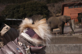 2012hannari71.jpg