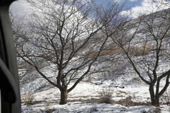 2012hannari93.jpg