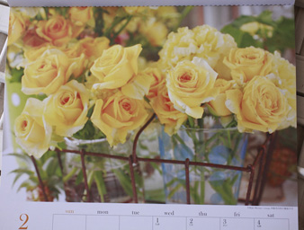 2012naturalflower2up.jpg