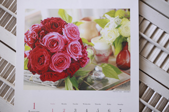 2012rosefragrance1up.jpg