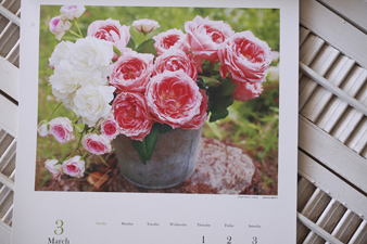 2012rosefragrance2up.jpg