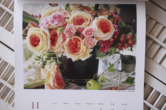2012rosefragrance8up.jpg
