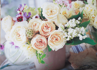 2013rose3.jpg