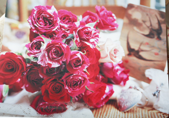 2013rose4.jpg