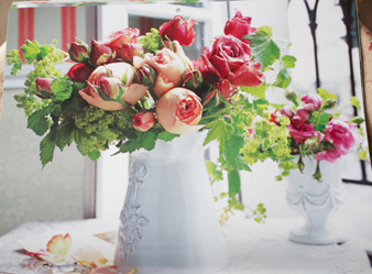 2013rose6.jpg