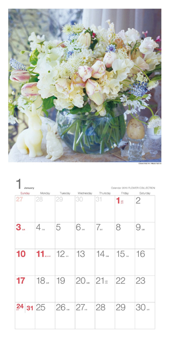2016collection2.jpg