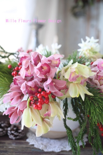 Cymbidium.jpg