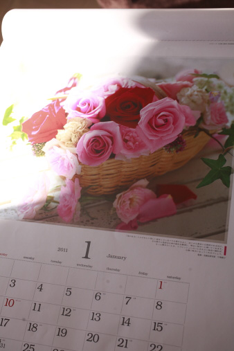 FH20111.jpg