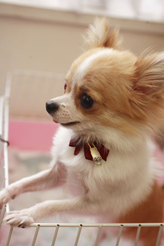 Oct2620101.jpg