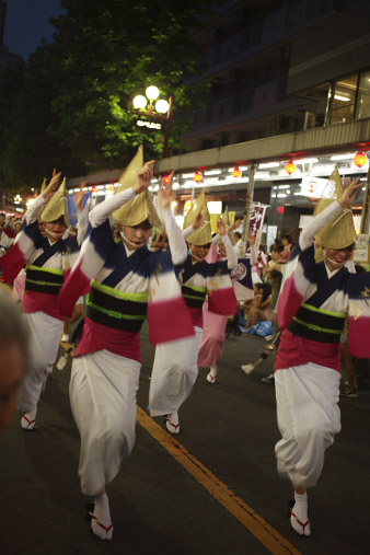 awa20101.jpg