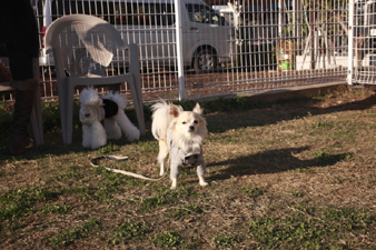 barkfarm4.jpg
