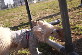 barkfarm7.jpg