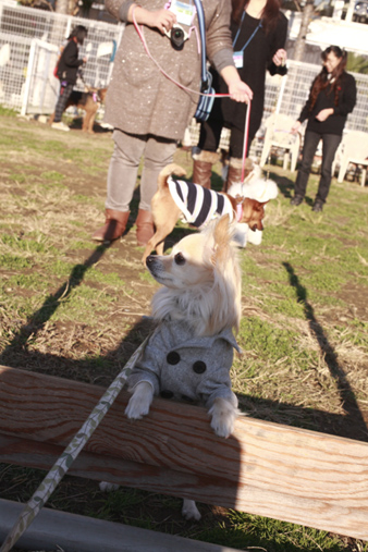 barkfarm9.jpg