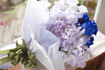 bluerose2.jpg