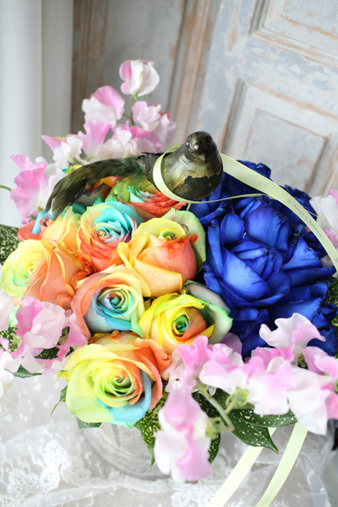 bluerose&rainbow.jpg