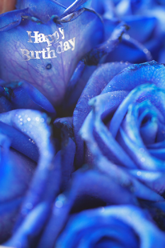 お誕生日のお祝いに青いバラを フラワーアレンジメント Floral Comfort