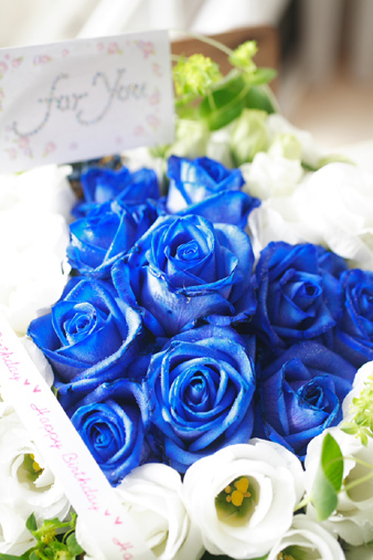 お誕生日のお祝いに青いバラを フラワーアレンジメント Floral Comfort