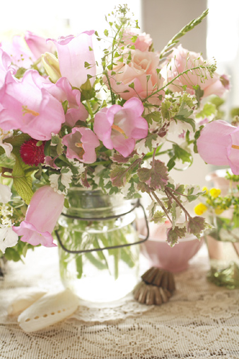 campanula.jpg