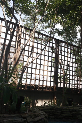 casita10.jpg
