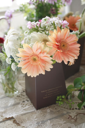 casualflower.jpg