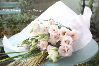 ceremonylightpink.jpg
