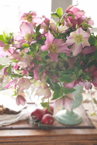 christmasrose1.jpg