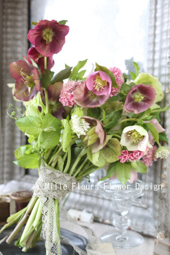 christmasrose2.jpg