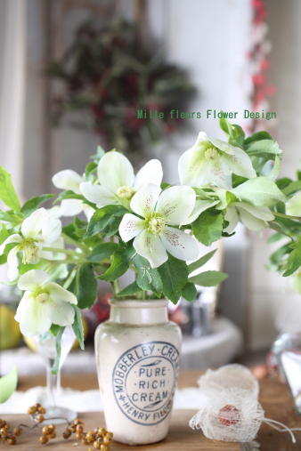 christmasrose3.jpg