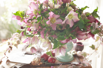 christmasrose4.jpg