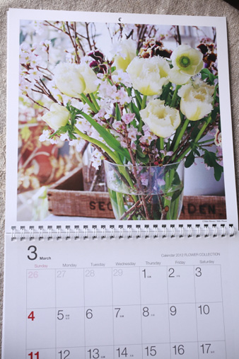 collection20123.jpg