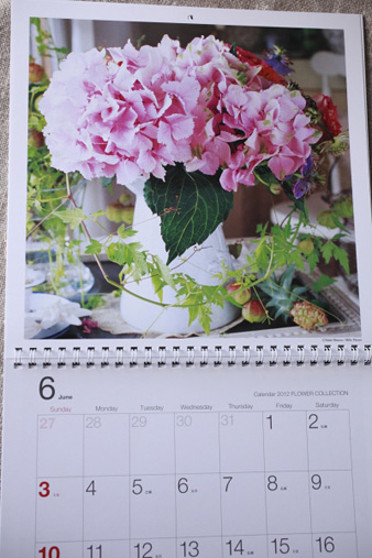 collection20124.jpg