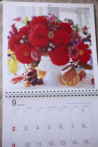 collection20125.jpg