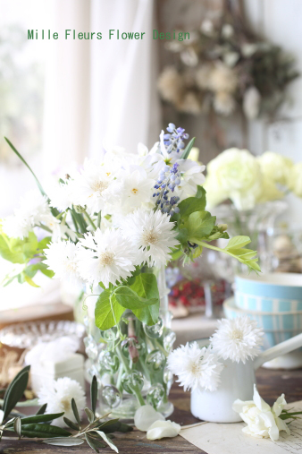 cornflower.jpg