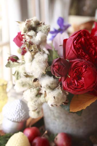 cottonflower.jpg