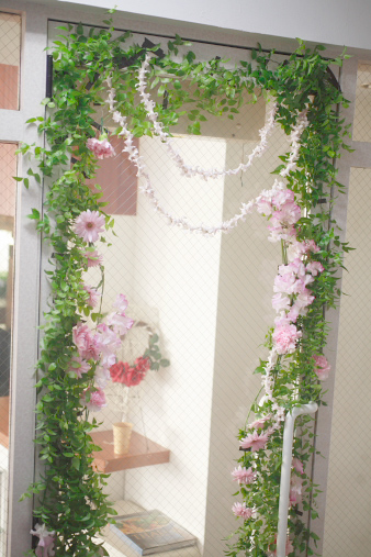 doorflower1.jpg