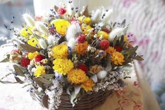 dryflower1.jpg
