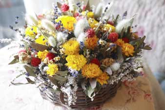 dryflower2.jpg