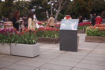 enoshima5.jpg
