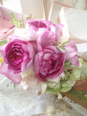 evepiagebouquetup.jpg
